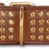 Doxtasy Hondenhalsband Swarovski Extreme Brown 45mm -Huisdierbenodigdheden image 1810