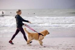 Rogz Hondentuig Airtech Sport Roze -Huisdierbenodigdheden image 182