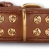 Doxtasy Hondenhalsband Swarovski Extreme Brown 30 Mm -Huisdierbenodigdheden image 1823