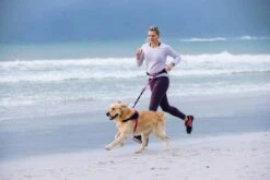 Rogz Hondentuig Airtech Sport Roze -Huisdierbenodigdheden image 183