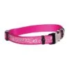 Rogz Hondenhalsband Trendy Pink Bones -Huisdierbenodigdheden image 1830