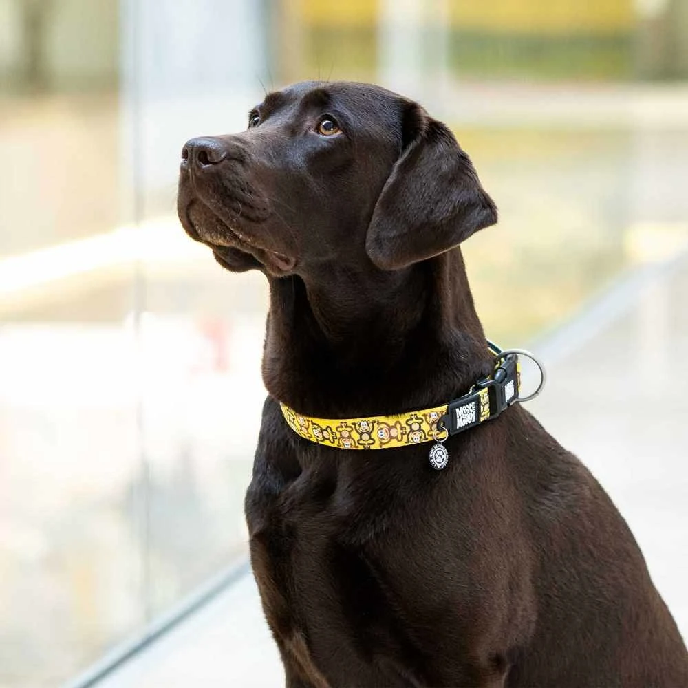 Max & Molly Hondenhalsband Monkey Maniac 4 Max & Molly Hondenhalsband Monkey Maniac - Afbeelding 2