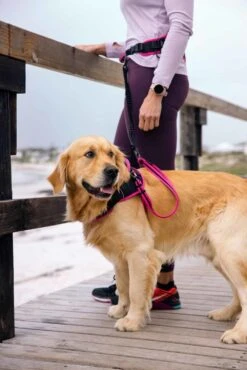 Rogz Hondentuig Airtech Sport Roze -Huisdierbenodigdheden image 186