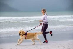 Rogz Hondentuig Airtech Sport Roze -Huisdierbenodigdheden image 187