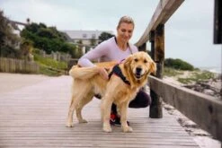 Rogz Hondentuig Airtech Sport Roze -Huisdierbenodigdheden image 188