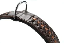 Hunter Hondenhalsband Solid Education Exclusive -Huisdierbenodigdheden image 1890