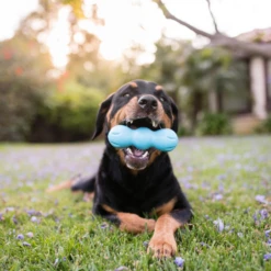 West Paw Design Hondenspeelgoed Zogoflex Rumpus Aqua