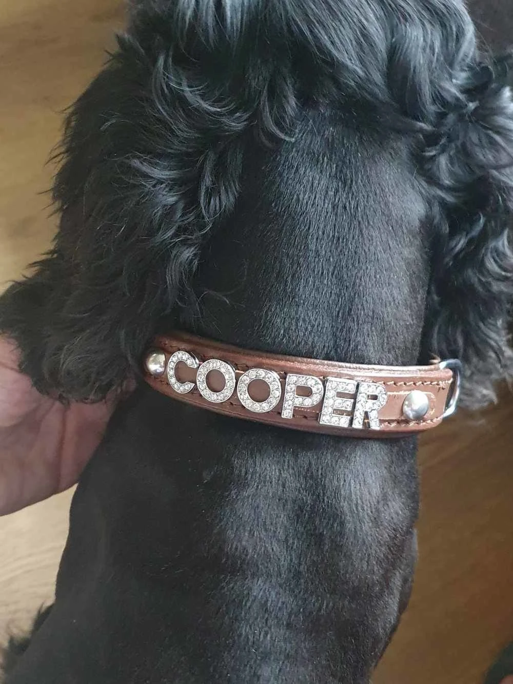 Doxtasy Hondenhalsband Met Naam Medium Brown 4 Doxtasy Hondenhalsband Met Naam Medium Brown - Afbeelding 2