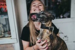 Hunter Windhonden Halsband Super Soft Donkerbruin