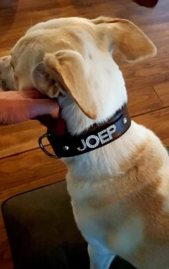 Doxtasy Hondenhalsband Met Naam Large Brown 10 Doxtasy Hondenhalsband Met Naam Large Brown -Huisdierbenodigdheden image 1925