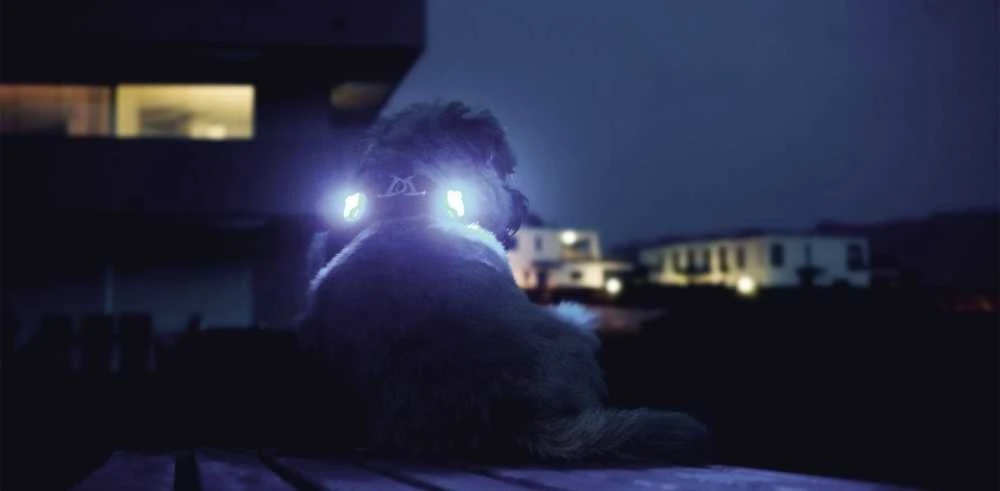 Curli Luumi Led Lampjes Zwart 5 Curli Luumi Led Lampjes Zwart - Afbeelding 3