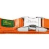 Hunter Hondenhalsband Vario Alu Strong Oranje -Huisdierbenodigdheden image 1953