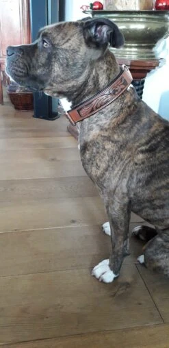 Heim Hondenhalsband Savanne Cognac 9 Heim Hondenhalsband Savanne Cognac -Huisdierbenodigdheden image 1957