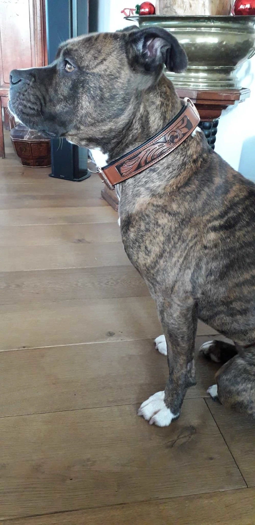 Heim Hondenhalsband Savanne Cognac 5 Heim Hondenhalsband Savanne Cognac - Afbeelding 3