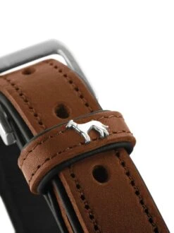 Featured Products -Huisdierbenodigdheden image 1966