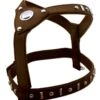 Doxtasy Hondentuig Knight Brown & Silver -Huisdierbenodigdheden image 2