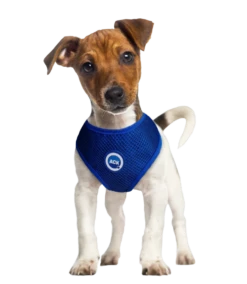 Aqua Coolkeeper Koel Harnas Round Loop Pacific Blue 8 Aqua Coolkeeper Koel Harnas Round Loop Pacific Blue -Huisdierbenodigdheden image 2