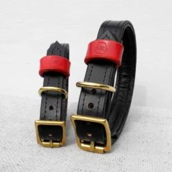 Houndworthy Hondenhalsband Bridle Leather Jet Black -Huisdierbenodigdheden image 2034