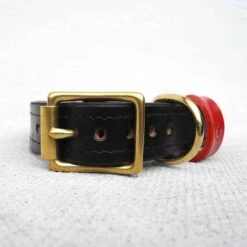 Houndworthy Hondenhalsband Bridle Leather Jet Black -Huisdierbenodigdheden image 2035