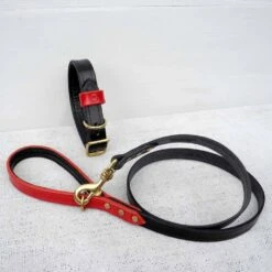 Houndworthy Hondenhalsband Bridle Leather Jet Black -Huisdierbenodigdheden image 2036