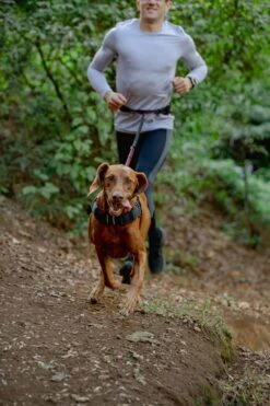 Rogz Hondenriem Handsfree Airtech Sport Rood -Huisdierbenodigdheden image 2073