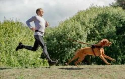 Rogz Hondenriem Handsfree Airtech Sport Rood -Huisdierbenodigdheden image 2074