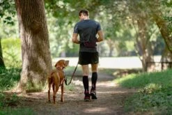 Rogz Hondenriem Handsfree Airtech Sport Rood -Huisdierbenodigdheden image 2075