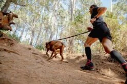 Rogz Hondenriem Handsfree Airtech Sport Rood -Huisdierbenodigdheden image 2076