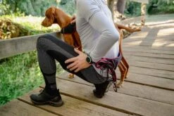 Rogz Hondenriem Handsfree Airtech Sport Rood -Huisdierbenodigdheden image 2078