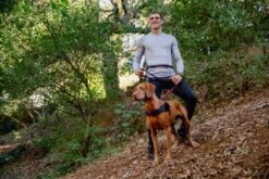 Rogz Hondenriem Handsfree Airtech Sport Rood -Huisdierbenodigdheden image 2079