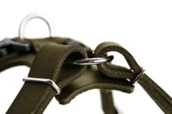 Hunter Hondentuig Aalborg Olive -Huisdierbenodigdheden image 209