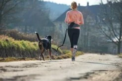 Hunter Heuptas Jasper Zwart 9 Hunter Heuptas Jasper Zwart -Huisdierbenodigdheden image 2093