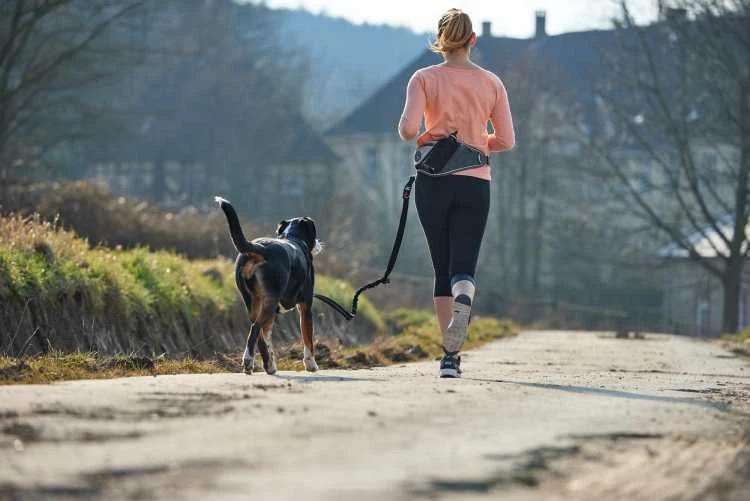 Hunter Heuptas Jasper Zwart 5 Hunter Heuptas Jasper Zwart - Afbeelding 3