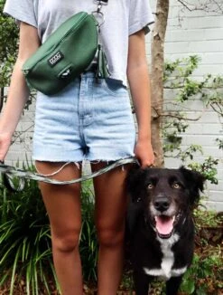 DOOG Heuptas Neosport Groen -Huisdierbenodigdheden image 2099