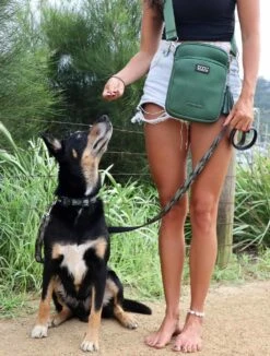 DOOG Cross Body Tas Walkie Bag Neosport Groen -Huisdierbenodigdheden image 2133