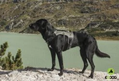 EQDOG Hondentuig Pro Harness Zwart -Huisdierbenodigdheden image 2141