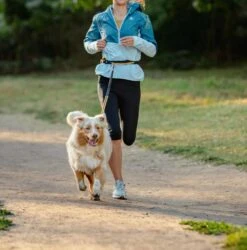 Rogz Hondenriem Handsfree Airtech Sport Oker -Huisdierbenodigdheden image 2157