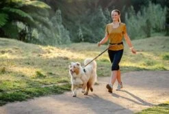 Rogz Hondenriem Handsfree Airtech Sport Oker -Huisdierbenodigdheden image 2158