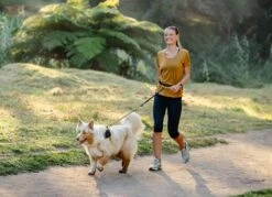 Rogz Hondenriem Handsfree Airtech Sport Oker -Huisdierbenodigdheden image 2160