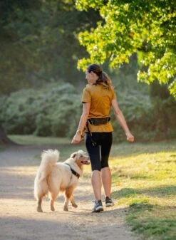 Rogz Hondenriem Handsfree Airtech Sport Oker -Huisdierbenodigdheden image 2162