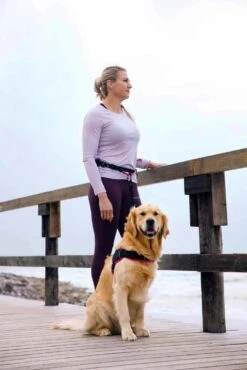 Rogz Hondenriem Handsfree Airtech Sport Roze -Huisdierbenodigdheden image 2179