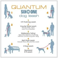 Kurgo Hondenriem Quantum 6-in-1 Blauw -Huisdierbenodigdheden image 2191