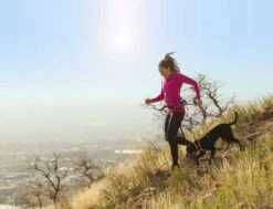 Kurgo K9 Excursion Running Belt -Huisdierbenodigdheden image 2219