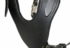 Dean And Tyler Hondentuig Basic -Huisdierbenodigdheden image 224