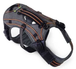EQDOG Hondentuig Pro Harness Oranje