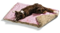 Hunter Hondendeken Astana Rood