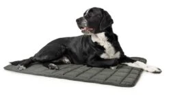 Hunter Hondendeken Hamilton