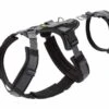 Hunter Veiligheidsharnas Maldon Zwart -Huisdierbenodigdheden image 23