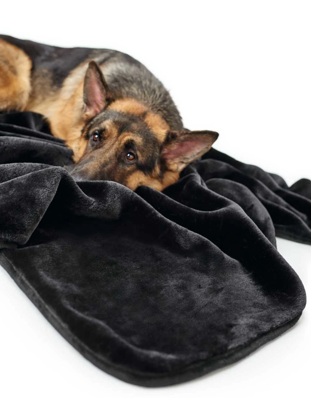 Hunter Hondendeken Konstanz Zwart 3 Hunter Hondendeken Konstanz Zwart