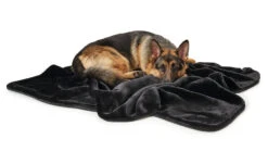 Hunter Hondendeken Konstanz Zwart 8 Hunter Hondendeken Konstanz Zwart -Huisdierbenodigdheden image 2313